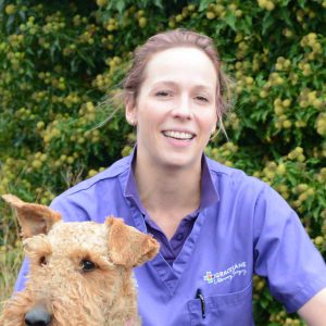 Grace Lane Vet team member Rebecca Whitwell headshot with airedale terrier